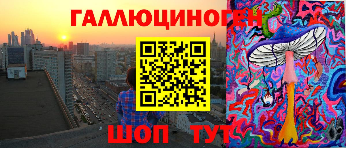 Галлюциногенные грибы Psilocybe Кизилюрт