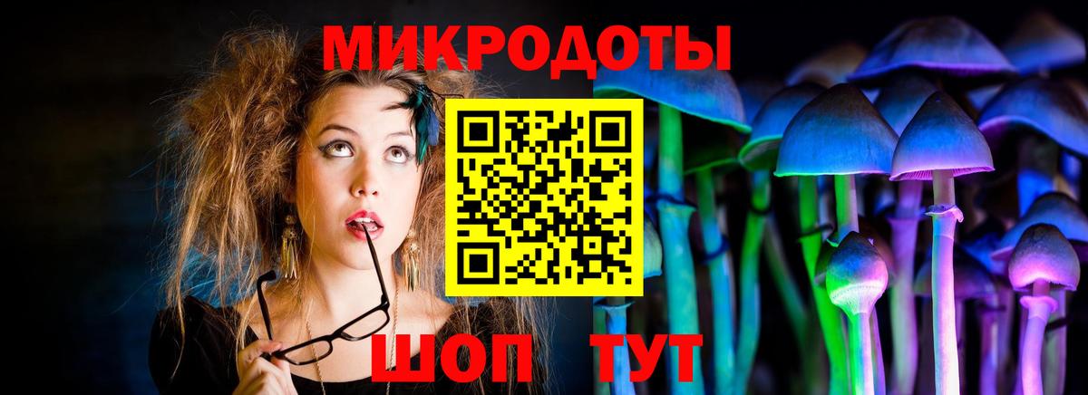 Галлюциногенные грибы мицелий  Вход с VPN  Кизилюрт 